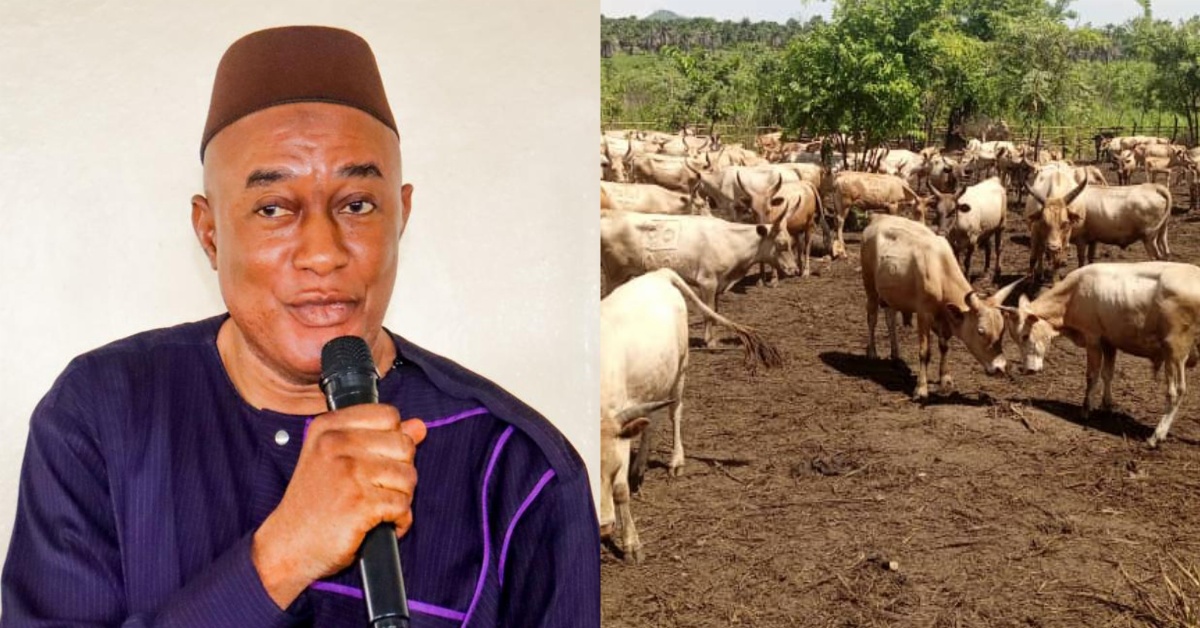 Mara Chiefdom Farmers Accuse Paramount Chief of Cattle Sabotage