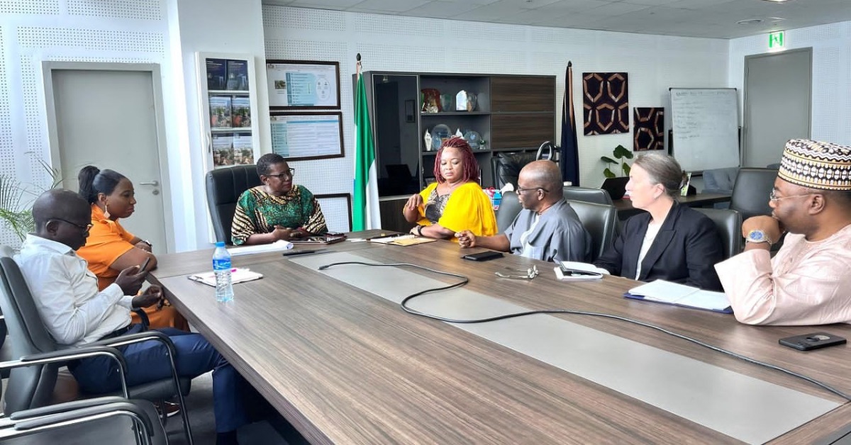 Mayor Aki-Sawyerr Engages UN Electoral Mission to Address Local Governance Issues