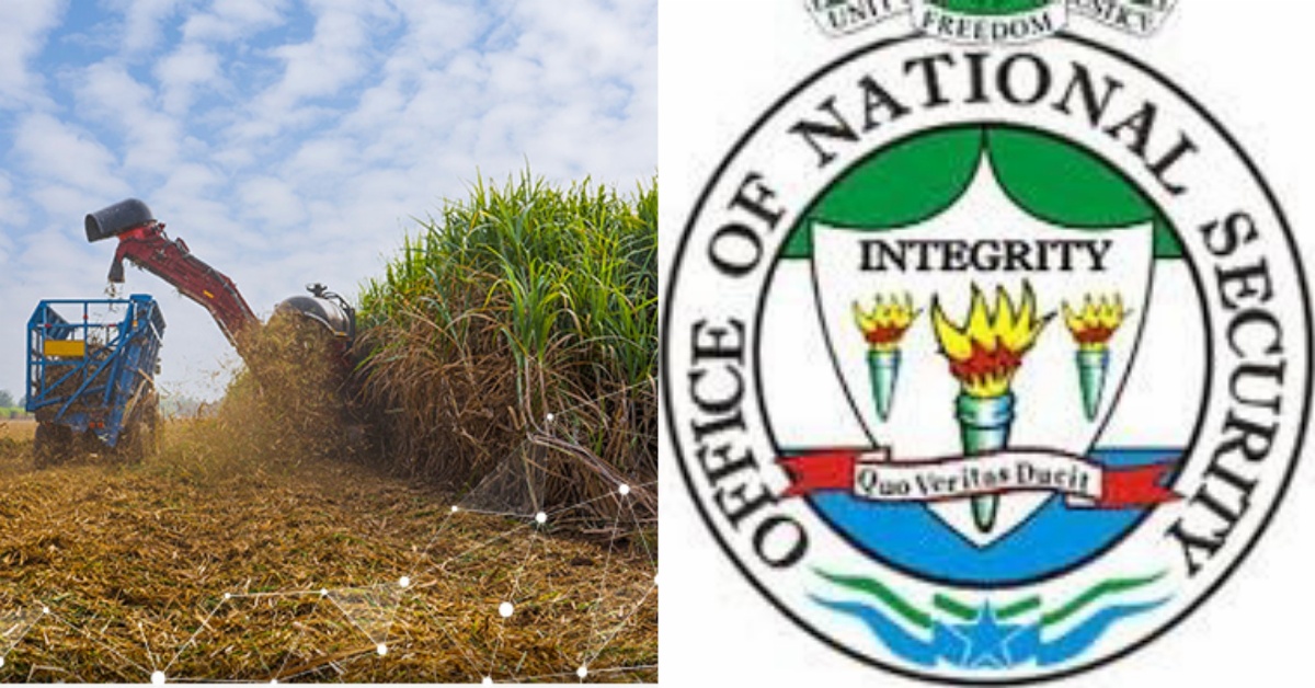 ONS Launches Investigation into Vandalism and Looting at Magbass Sugar Cane Factory