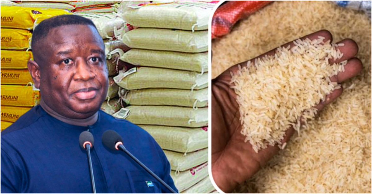 Sierra Leone Now Grows 72% of the Rice It Consumes – Government
