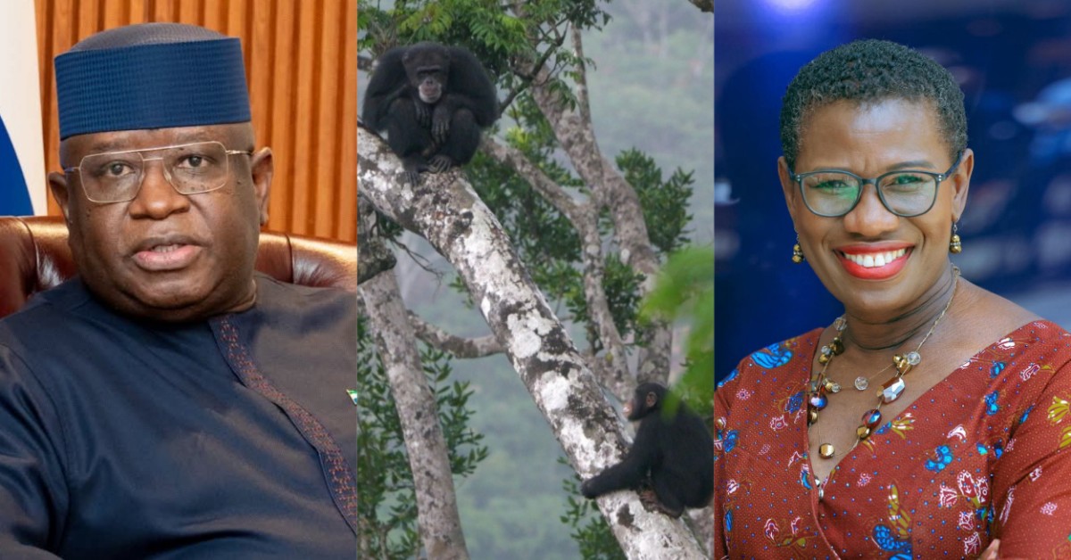 Freetown Mayor Slams Government Over Tacugama Sanctuary Closure