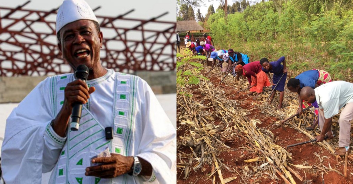 “Bread Is Sorted” – Alpha Kanu Tells Northern Towns to Produce the Butter