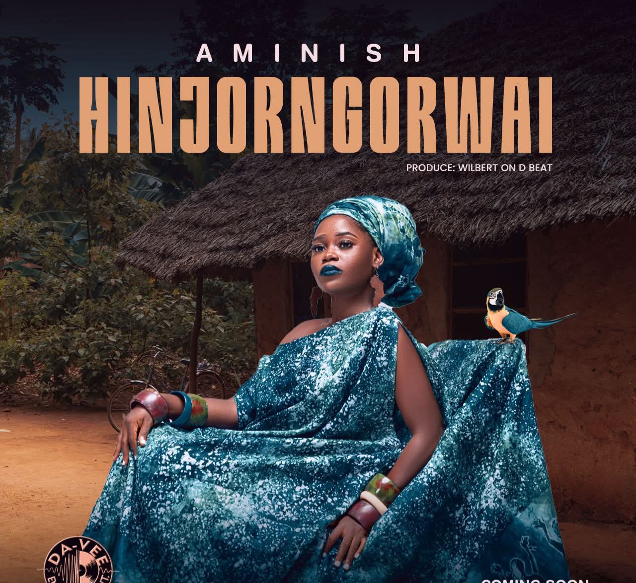 Aminish – Hinjorngorwai