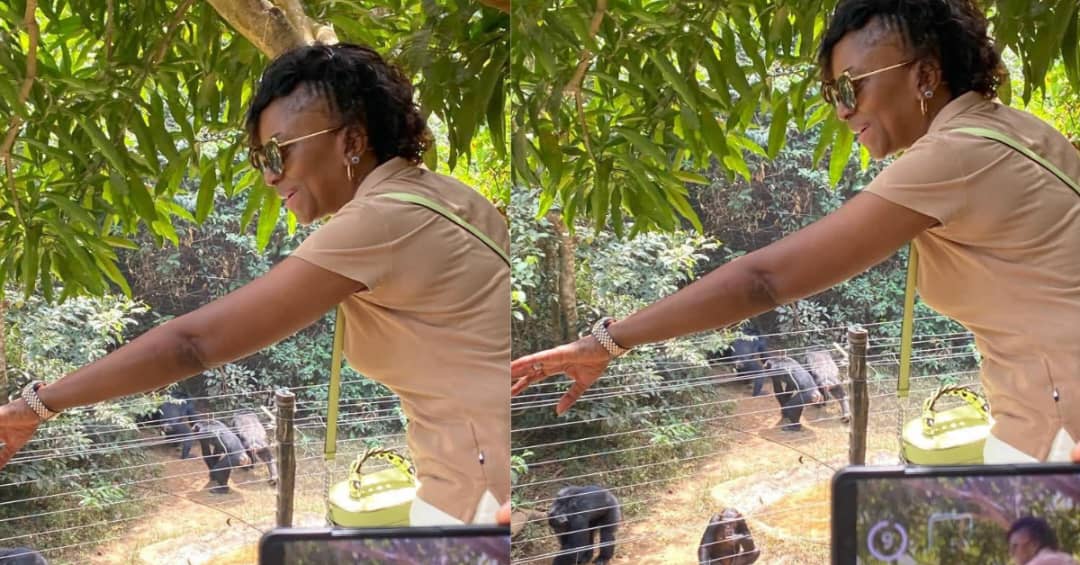 Tourism Minister Nabeela Tunis Celebrates World Chimpanzee Day, Highlights Ecotourism and Conservation