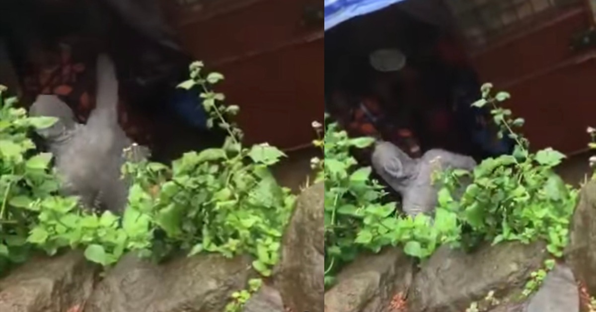 Man Disrupts Church Service in Dwarzack, Demands Wife’s Release Over Alleged Spiritual Oath