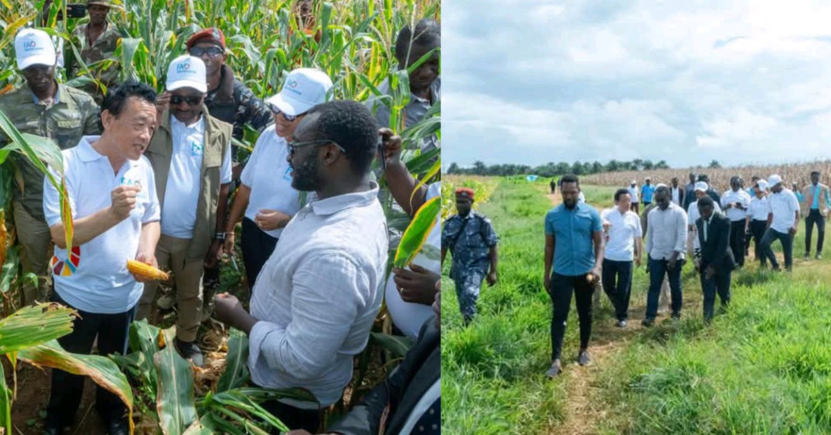 FAO Director-General Visits Sierra Leone to Support National Feed Salone Initiative