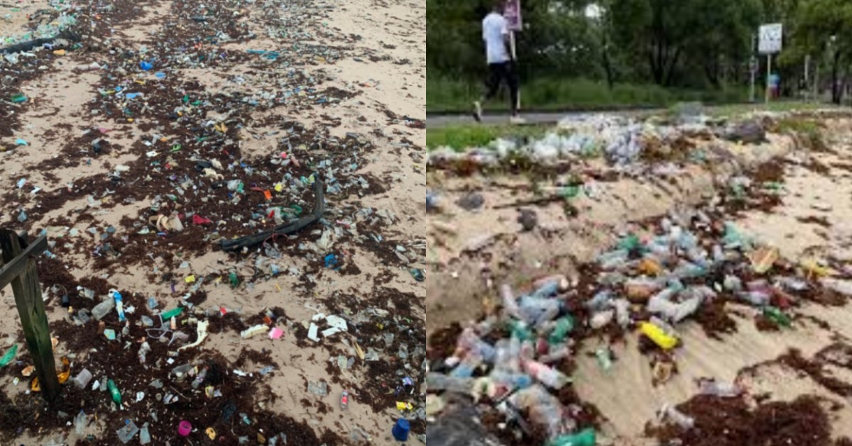 Garbage and Seaweed Pile Up Along Lumley–Aberdeen Beach After Waste Net Breaks