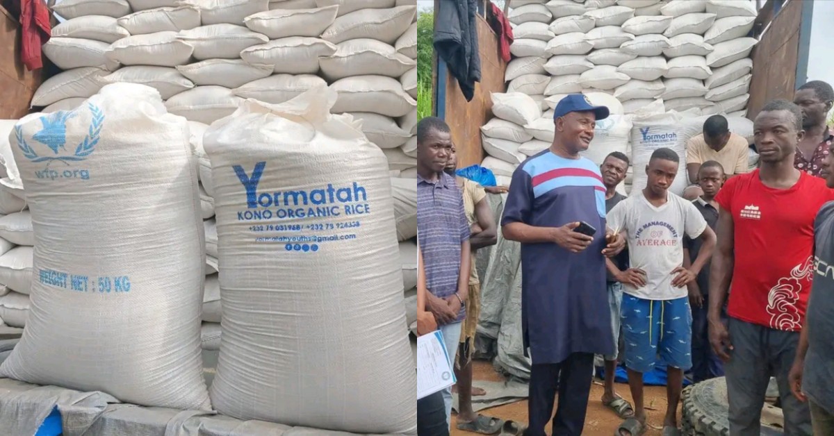 Kono District Council and Youth Farmers Donate 650 Bags of Local Rice to WFP for School Feeding Programme