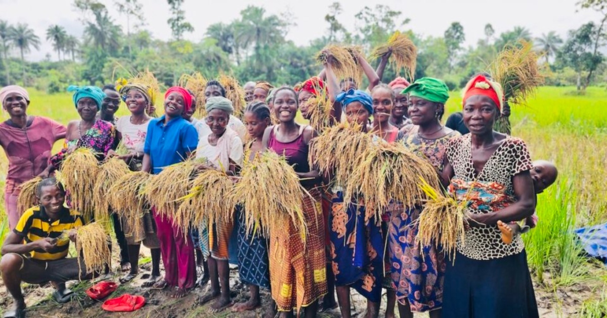 IGR Report Uncovers Gender Disparities in Government Support to Rice Farmers