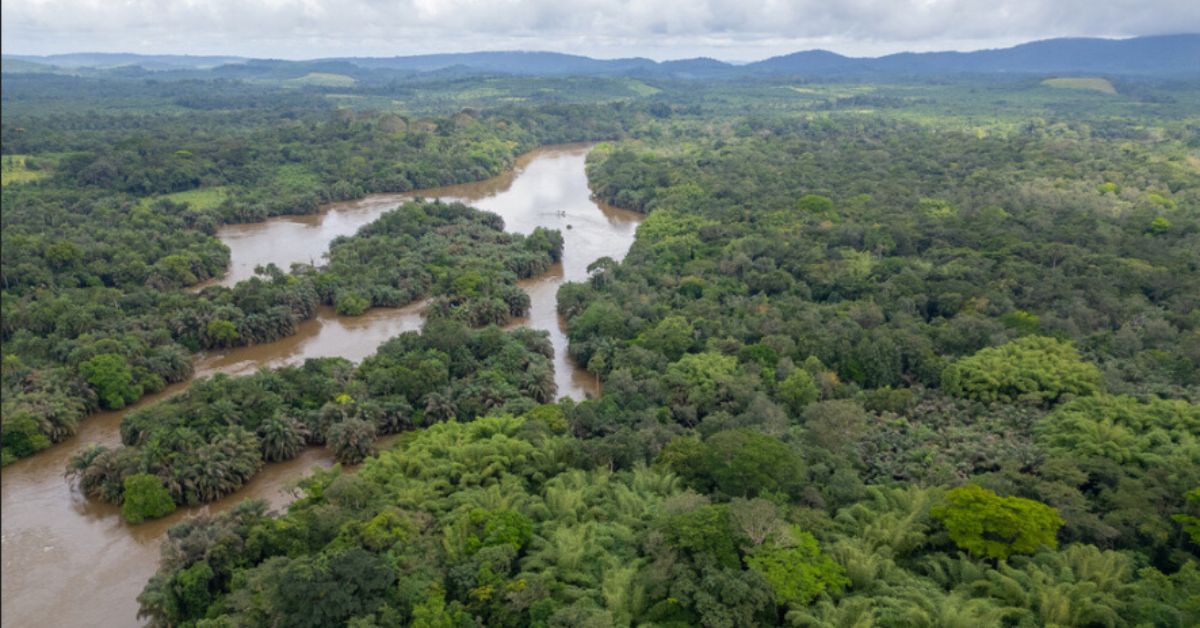 Tiwai Island Becomes UNESCO World Heritage Site
