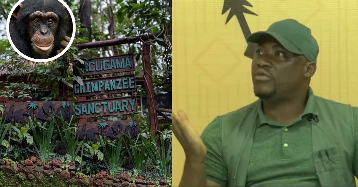 Tourism Board Clarifies Role in Protecting Forest Reserves