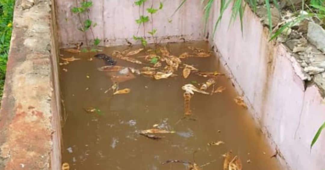 Rising Water Levels in Freetown Cemeteries Spark Fears of Groundwater Contamination