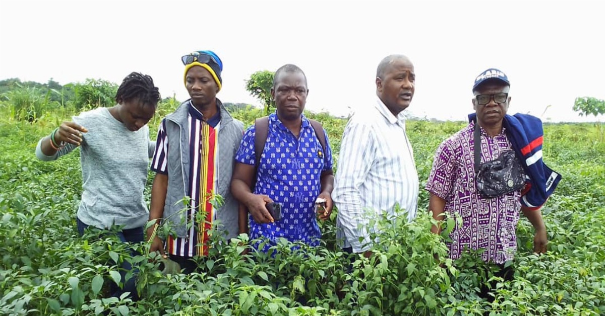 Ministry of Agriculture and Food Security Engages Local Farmers in Moyamba District