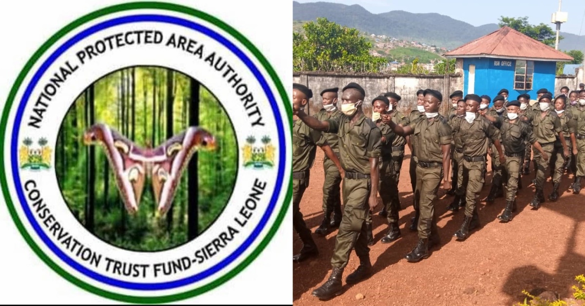 NPAA Executive Director and Deputy Suspended Over Lapses in Forest Protection