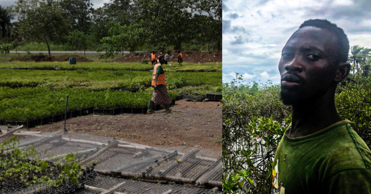 OPINION: The Carbon Option – Opening a New Door for Development