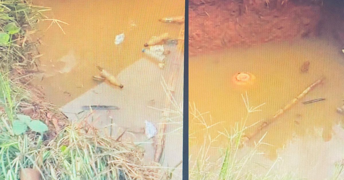 6-Year-Old Boy Drowns in Unprotected Pit in Wellington