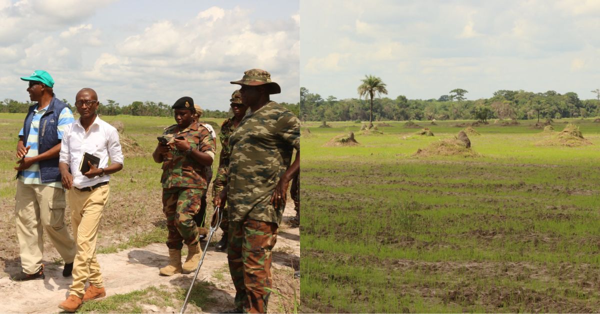 Parliamentary Committee on Defense Inspects RSLAF Cashew Farm to Boost Food Security