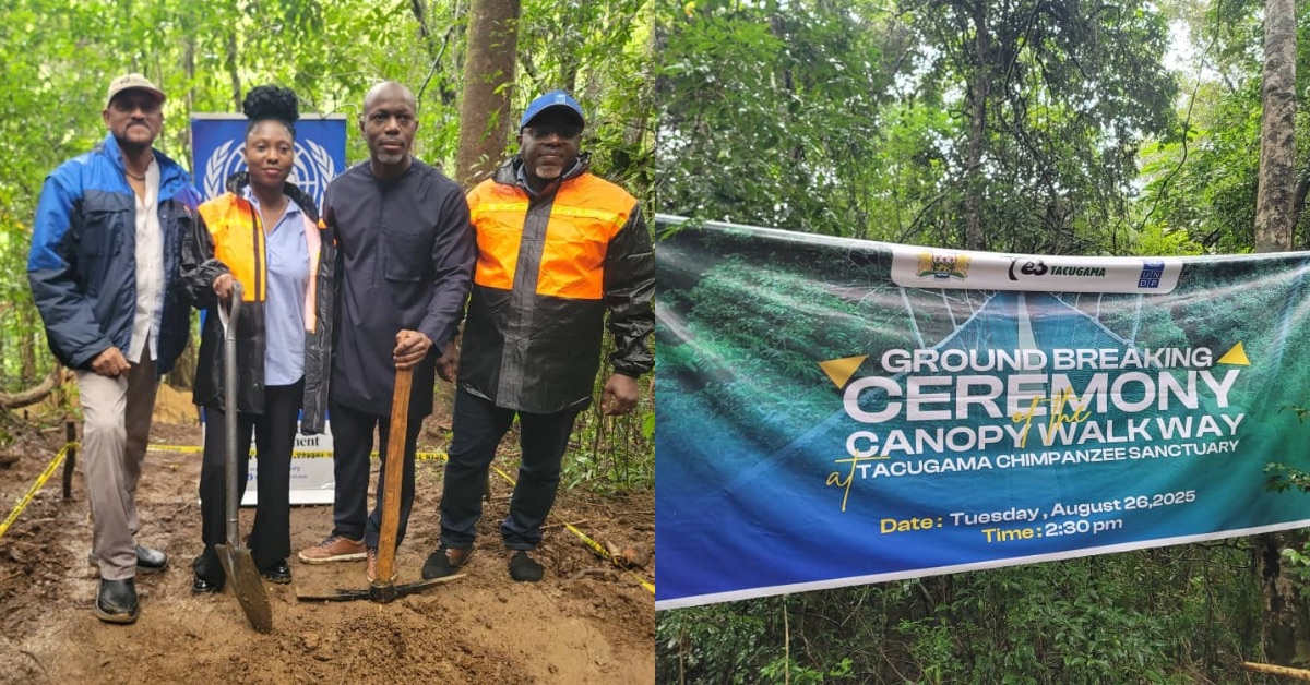 Tacugama Chimpanzee Sanctuary Launches Canopy Walkway Project to Boost Eco-Tourism