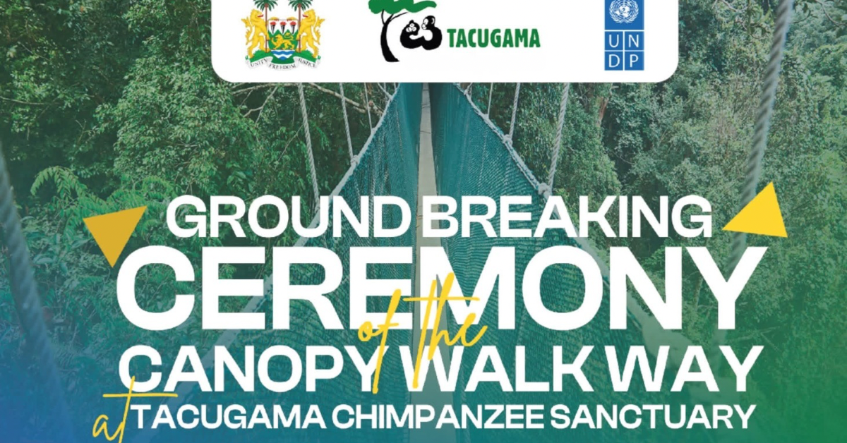 Sierra Leone to Launch First-Ever Canopy Walkway at Tacugama Sanctuary 