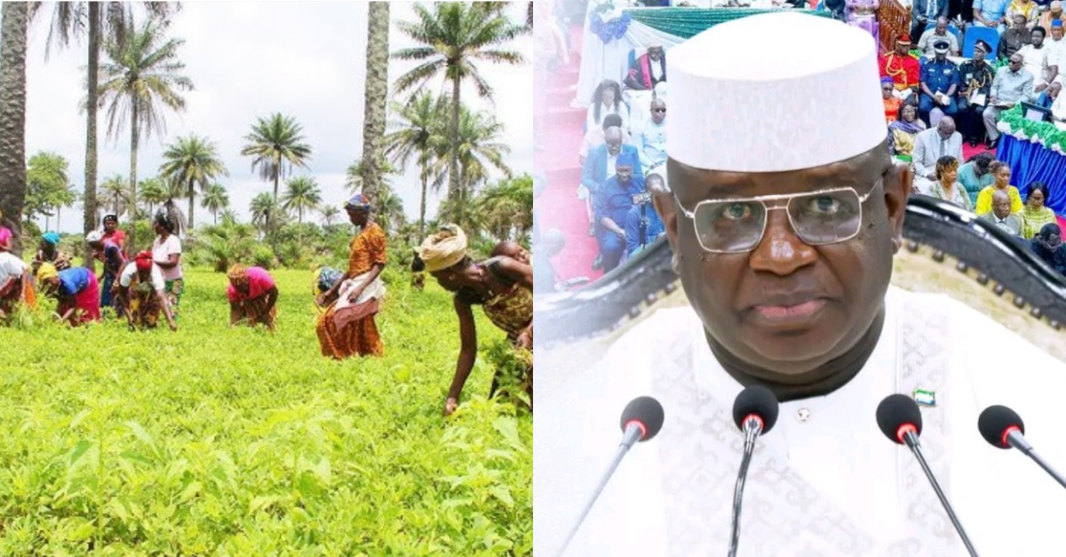 We Must Stop Relying on Imported Food–President Bio