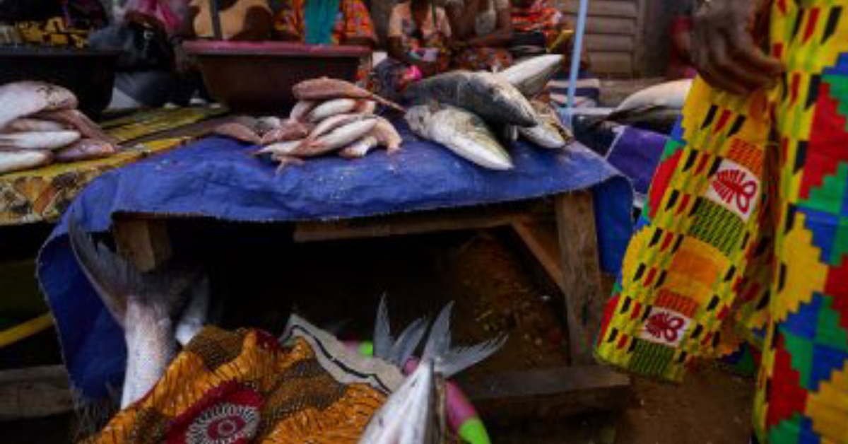 Attempt to Sell Expired Fish Halted in Taiama Market