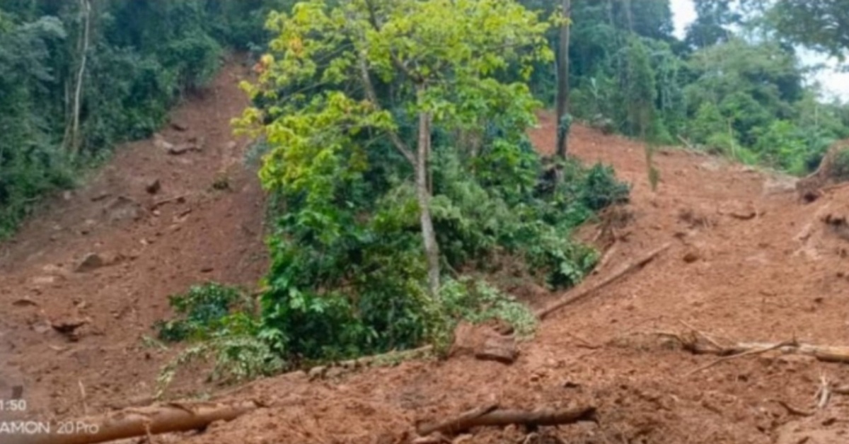 Mudslide Destroys Farmlands in Kaya Town, Koinadugu District