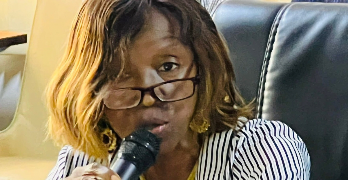 Sierra Leone’s Development Partners and Government Pledge Stronger Collaboration for Service Delivery