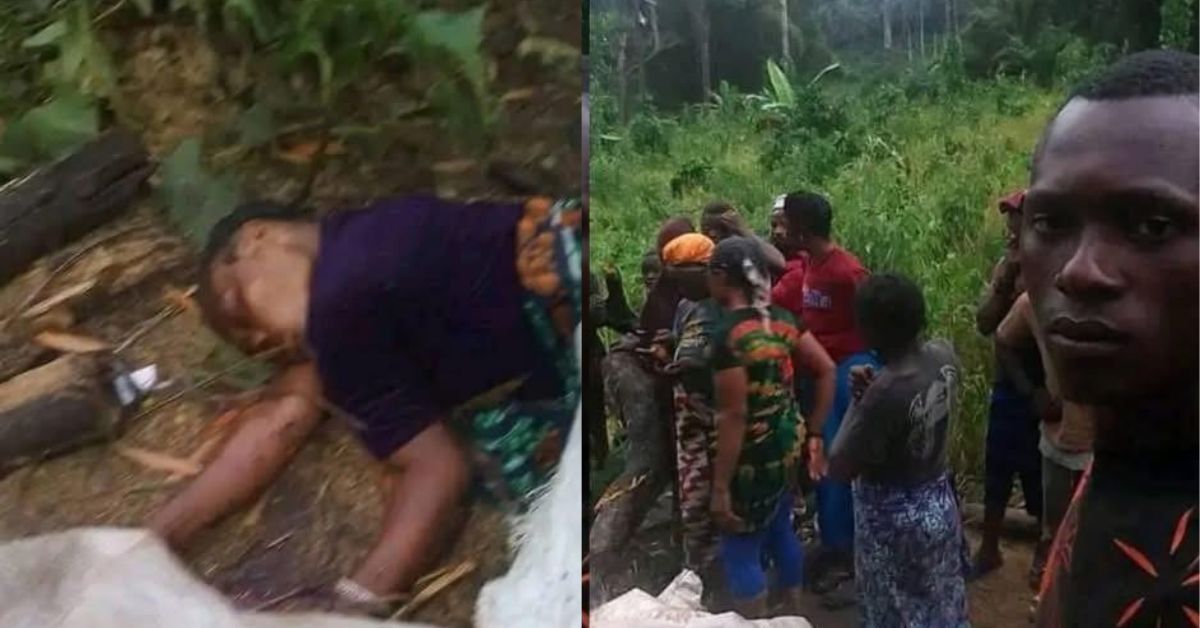 Woman Dies as Tree Falls During Heavy Storm in Kono District
