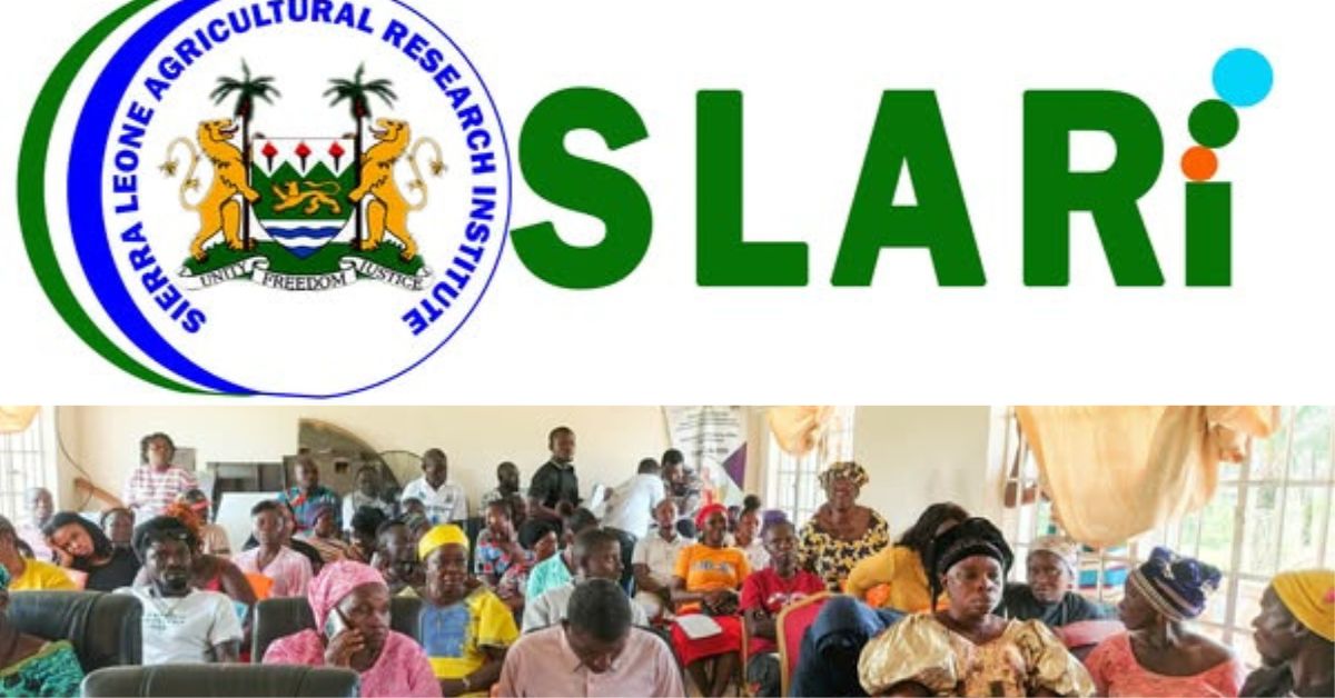 60 Farmers in Three Districts Trained to Combat Maize and Groundnut Contamination