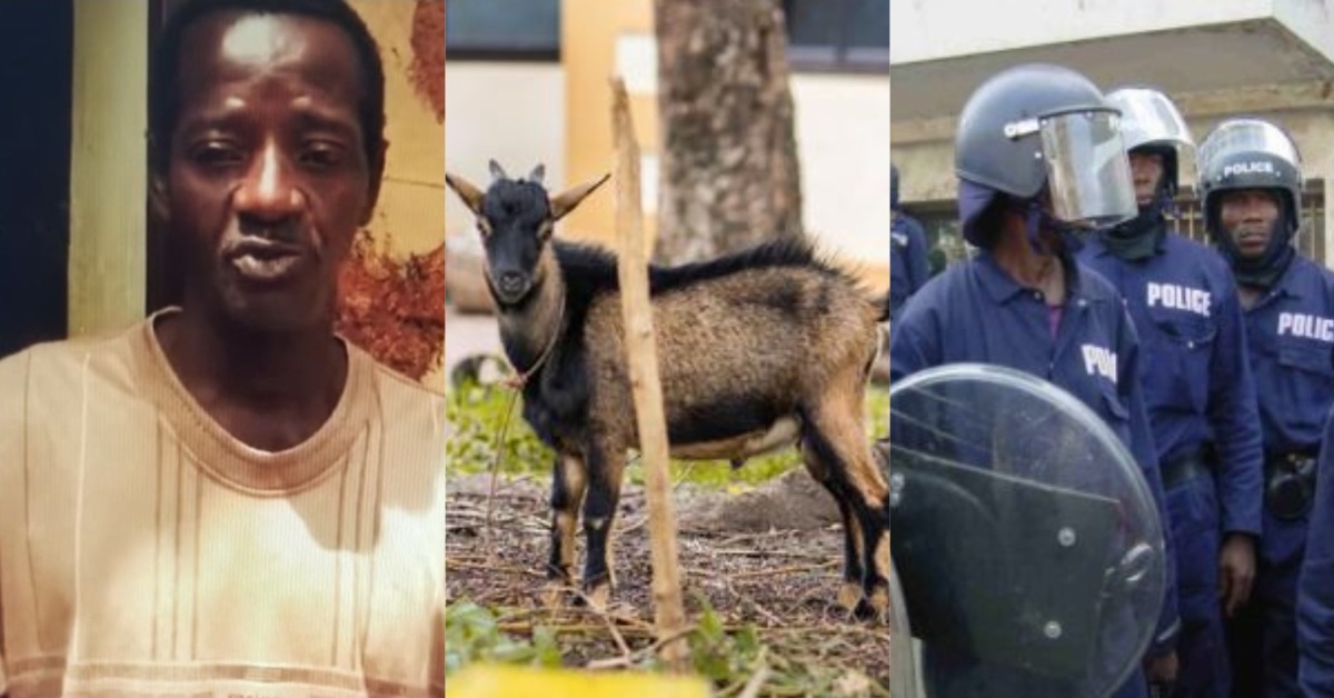 Man Accuses Police of Extortion in Controversial Goat Case