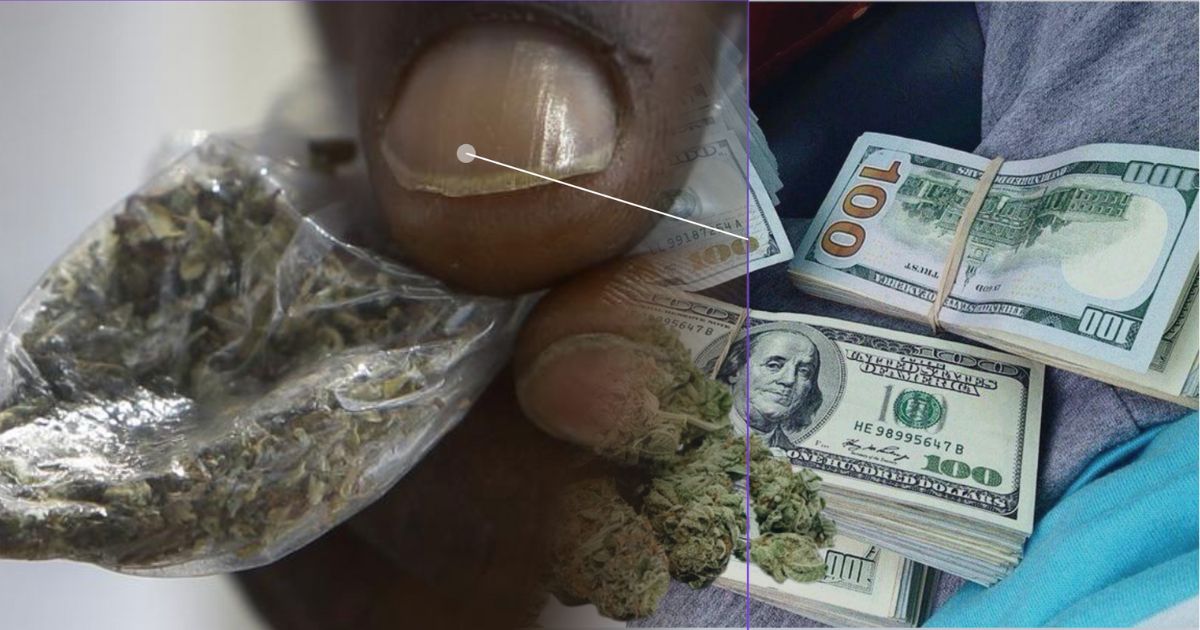 Prezo Koroma Questions $50,000 Allegedly Given to Entertainers to Fight Against Kush