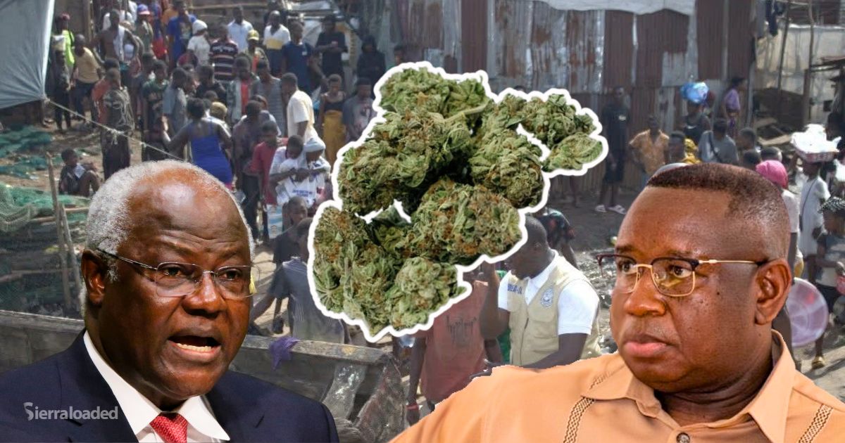 Kush Was Brought to Sierra Leone Under APC Government – President Bio