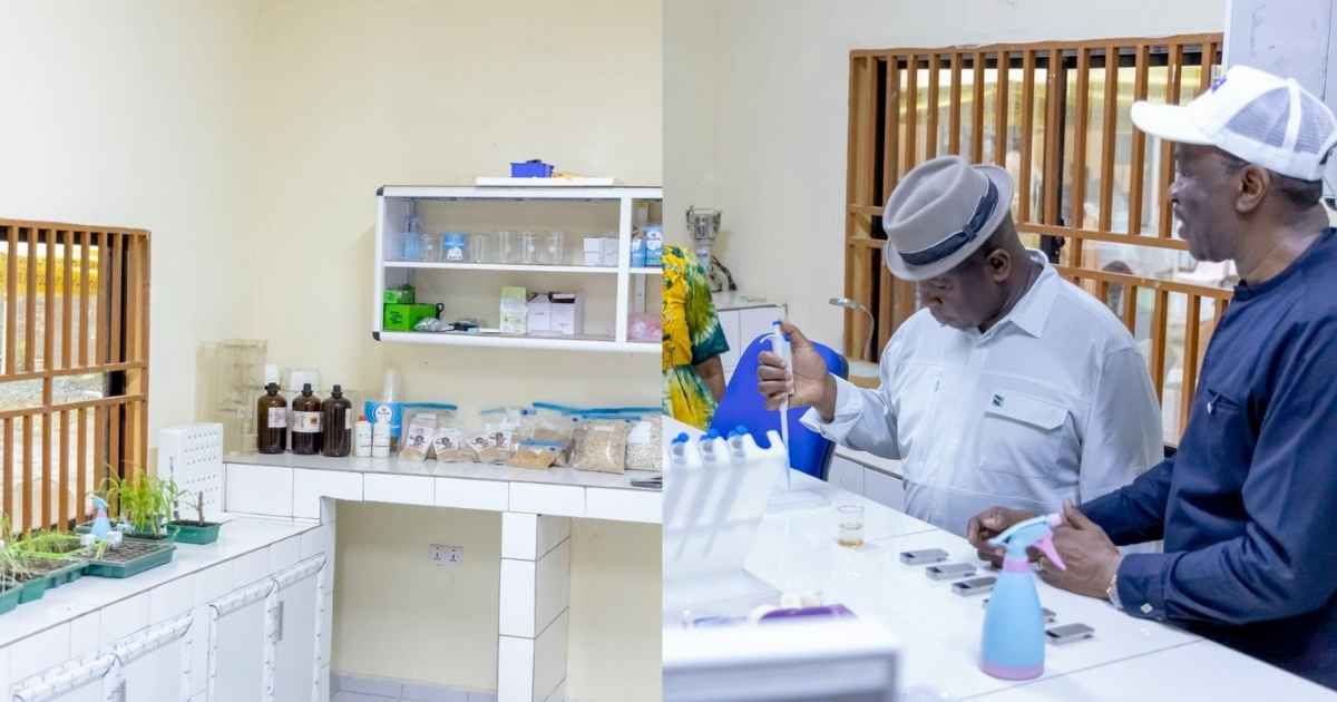 Modern Seed Laboratory Opens at Mile 19 to Boost Farming And Scientific Research