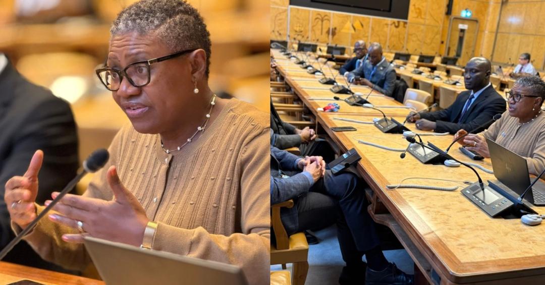 NRA Commissioner General Engages UNCTAD on ASYCUDA System Upgrade