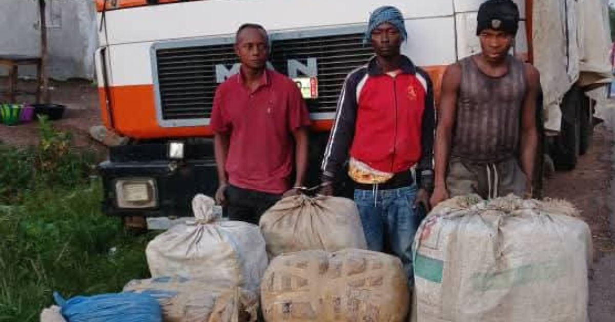 Police Seize Large Quantity of Suspected Cannabis in Kenema