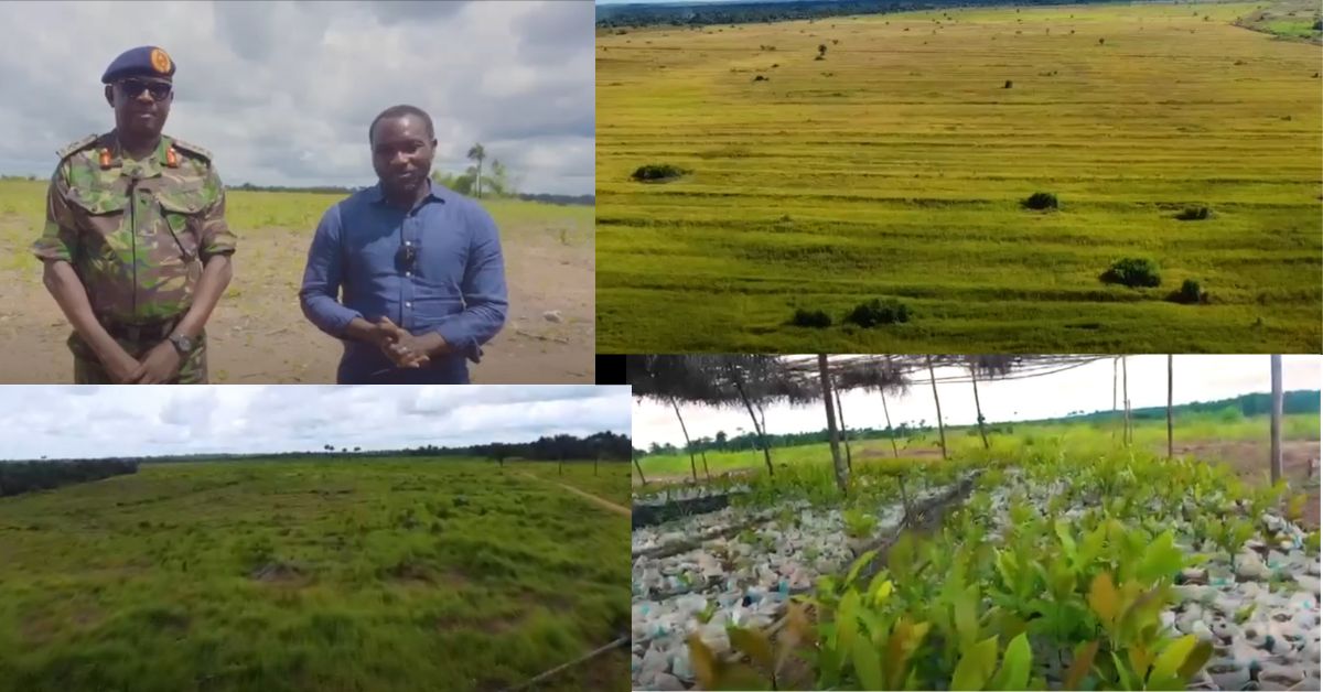 Sierra Leone Army and Correctional Services Join Forces to Boost Local Food Production