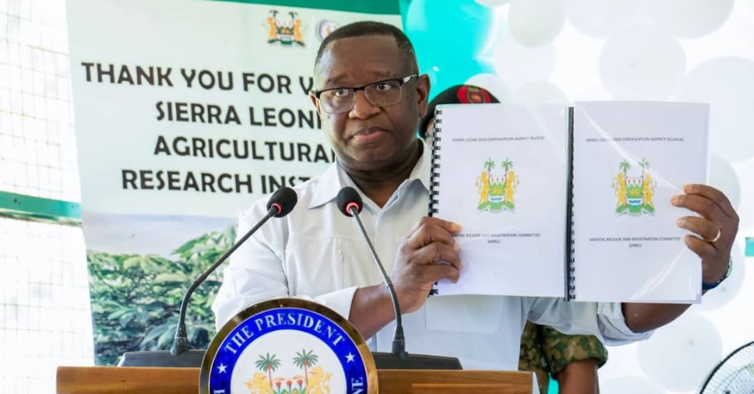 President Bio Launches 30 Improved Varieties of Maize, Rice, and Cassava Seeds