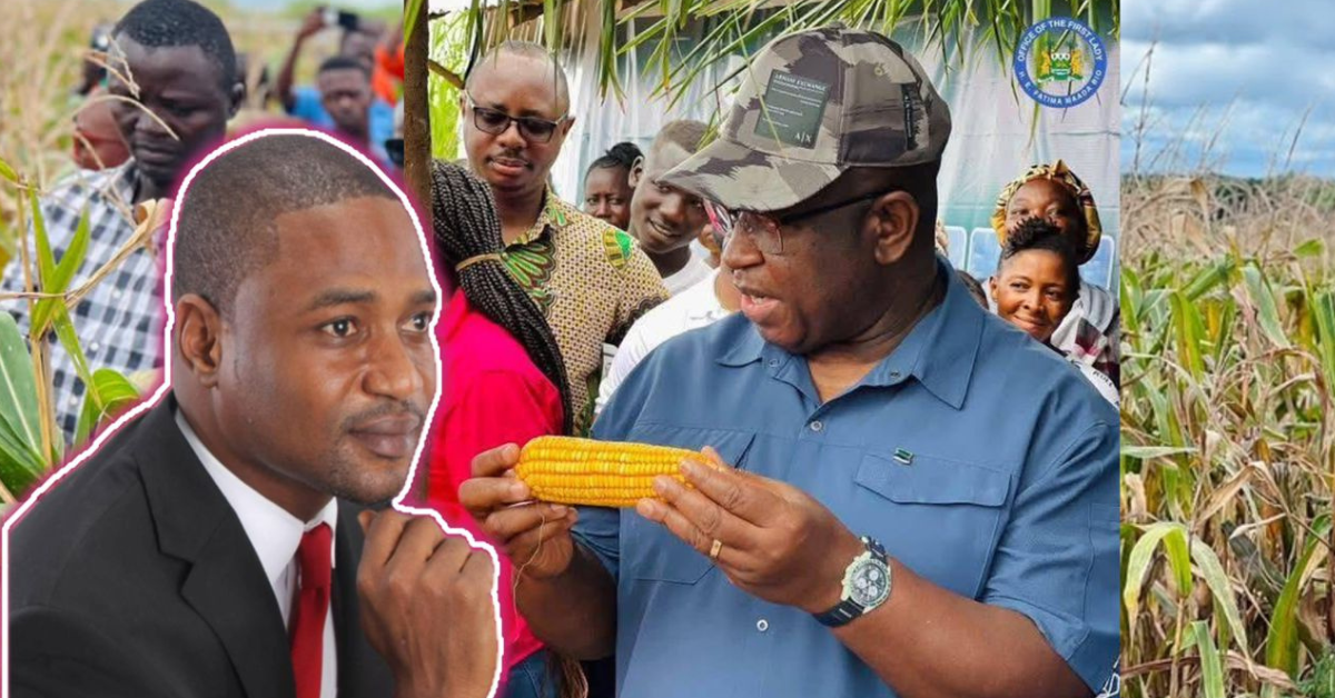 Kamarainba Mocks President Bio after Maize Farm Launch in Moyamba