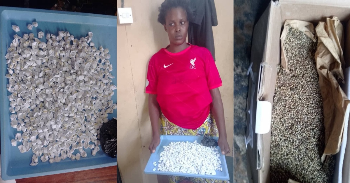 Congo Cross Police Intensify War on Drugs, Over 800 Wraps of Kush Seized, Arrest Multiple Suspects in Major Raid