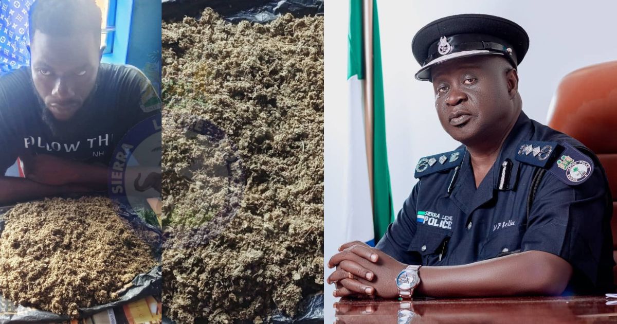 32-Year-Old Man Arrested With Suspected Kush in Kambia District