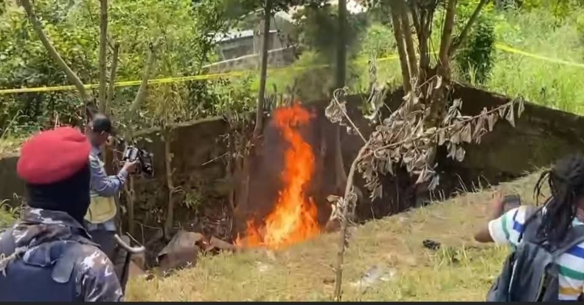 Authorities Burn Huge Stockpile of Illicit Drugs in Freetown Following Court Order