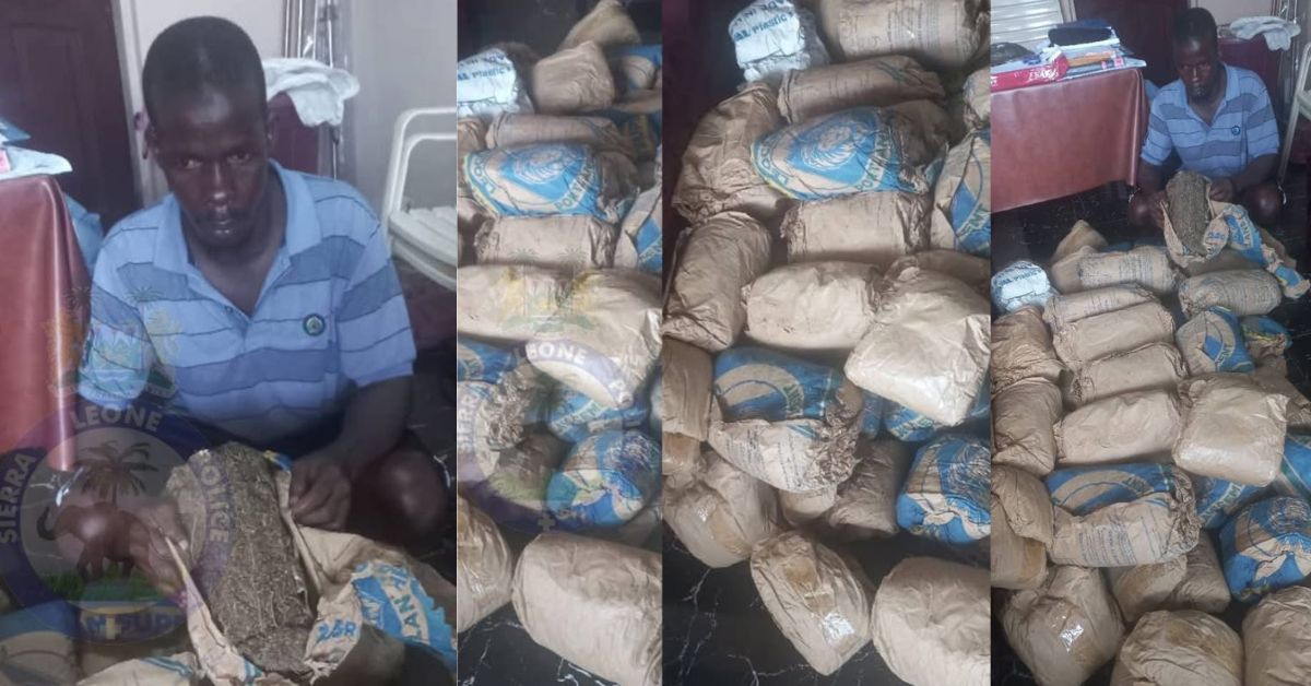 Calaba Town Police Seize 45 Kilograms of Suspected Cannabis Sativa in Hastings Raid