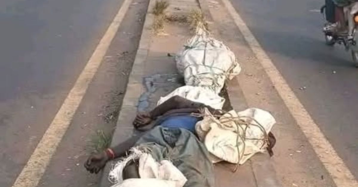 Two Decomposing Bodies Discovered Along Tombo Road in Waterloo