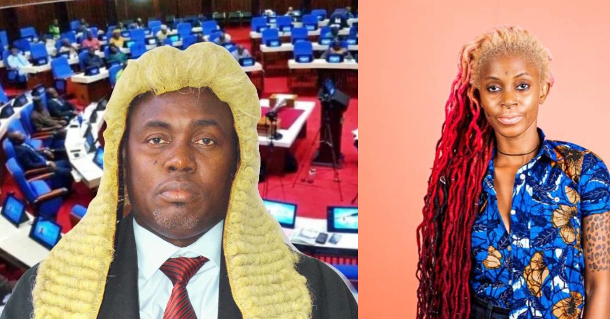 Fantacee Wiz Slams Parliament Over Ban on Miniskirts and Trousers for Women