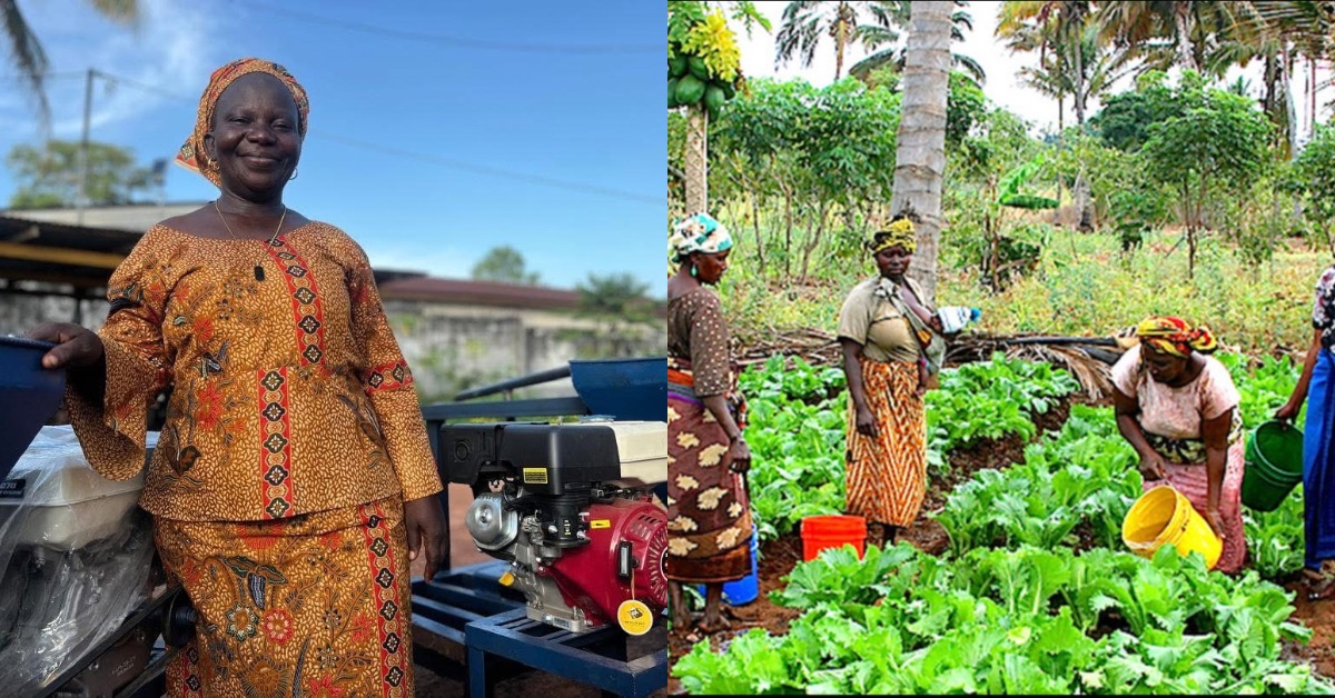 Over 200 Female Farmers Empowered with Agro-Processing Machines in Sierra Leone