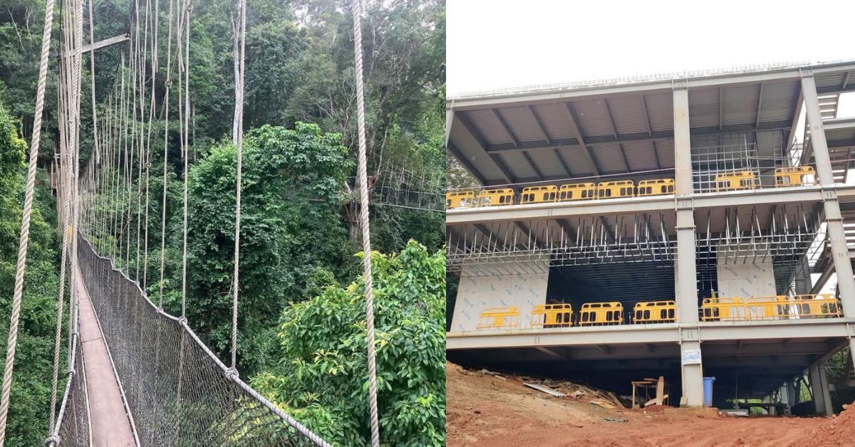 Tacugama’s Canopy Walkway: A New Path for Sierra Leone’s Conservation Future