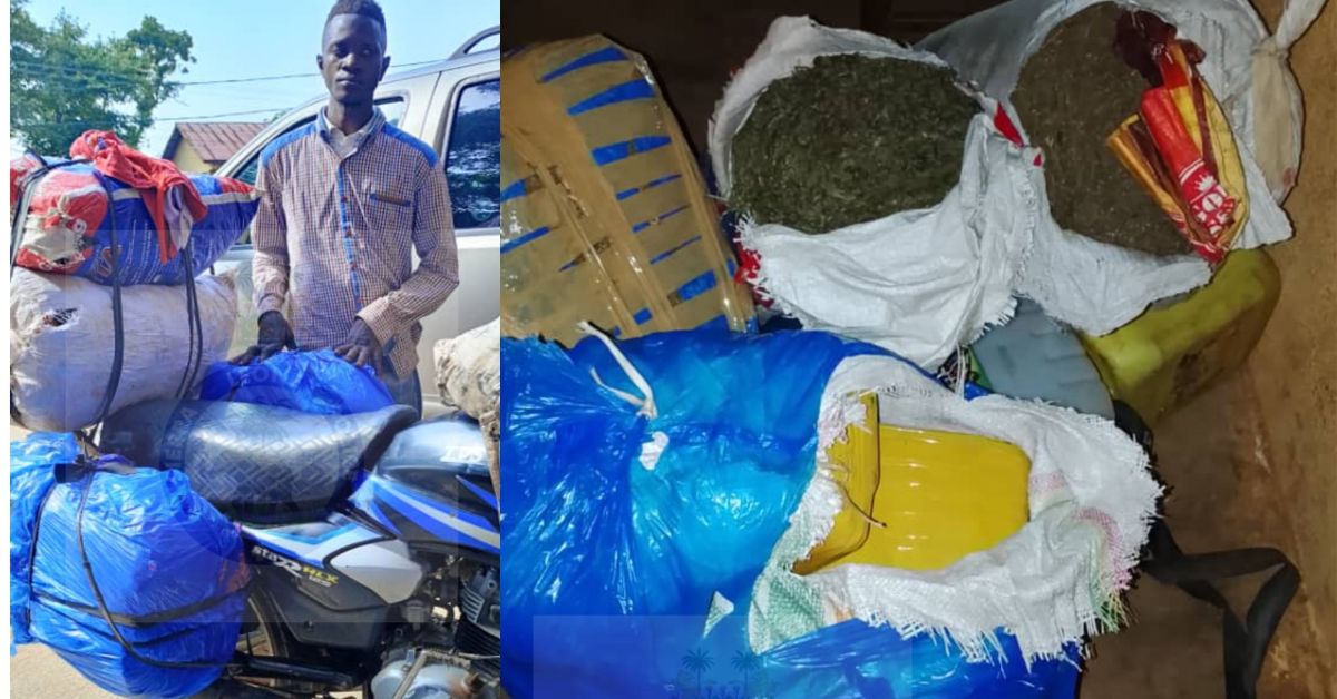 Police Arrest Suspect with Four Bales of Suspected Cannabis in Dambala Town