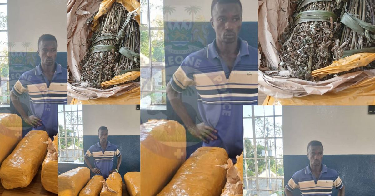 Police in Magburaka Arrest Suspected Cannabis Dealer