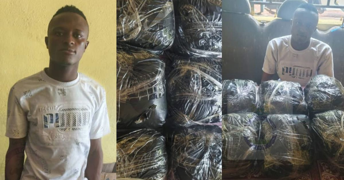 Alleged Drug Dealer Arrested at Masiaka Checkpoint With Six Parcels of Suspected Kush
