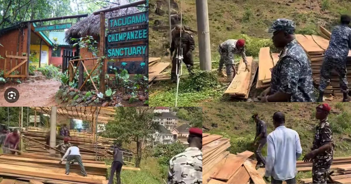 IGP Sellu Leads Operation to Remove Illegal Settlers from Tacugama Chimpanzee Sanctuary